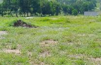 JM AGENCY_SARLU met a votre disposition 3 hectares, a N'sele kimpoko 1, Tout prêt de l'académie de police de l'Afrique centrale et du cimetière Nécropole 2 Kimpoko mediacongo