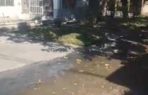 OPPORTUNITÉ IMMOBILIÈRE À SAISIR À LINGWALA mediacongo