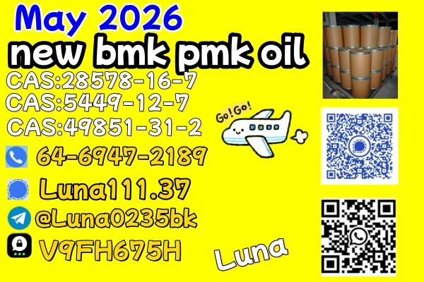 BMKPMK OIL CAS49851312