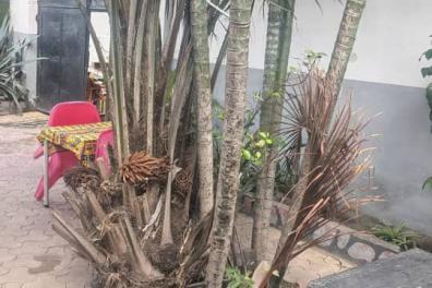 immobilier_vente_location caucusfemmes  