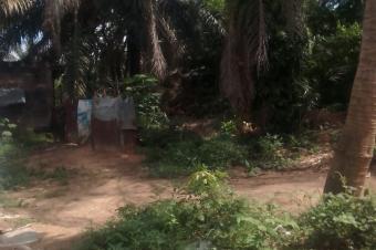 OPPORTUNIT IMMOBILIRE  BINZA UPN  Sur lavenue Luyeye Cabine