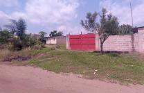 NOUVEAU SITE DE TERRAINS À VENDRE À MONT-NGAFULA mediacongo