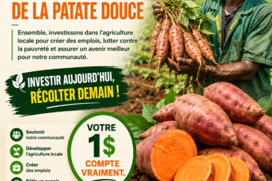 services_propositions_d_affaires BUKOGROUPE SARL  