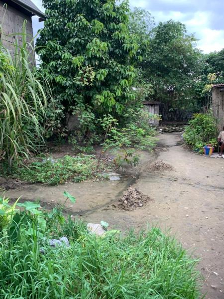 Terrain  vendre  Ngaliema binza ozone rfrence jardin