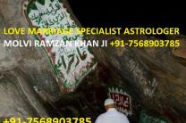Husband And Wife Relationship Problem Solution +91-7568903785 services_propositions_d_affaires