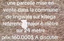 Opportunité à ne pas manquer !  Parcelle idéalement située dans la commune de Lingwala, avenue Kitega mediacongo