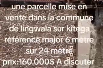 Opportunit  ne pas manquer   Parcelle idalement situe dans la commune de Lingwala avenue Kitega