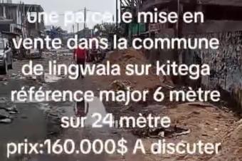 Opportunit  ne pas manquer   Parcelle idalement situe dans la commune de Lingwala avenue Kitega