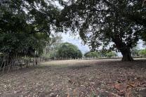 Terrain de 10.000m2 soit 1 hectare à vendre dans la commune de Ngaliema idéal pour des projets d’envergure  immobilier_vente_location