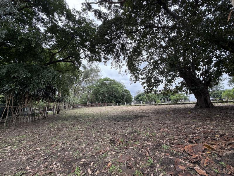 Terrain de 10.000m2 soit 1 hectare  vendre dans la commune de Ngaliema idal pour des projets denvergure 