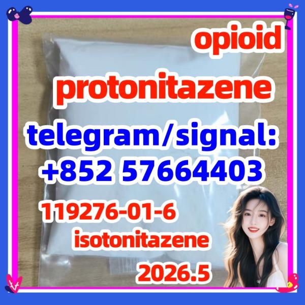 CAS 119276016 Protonitazene 