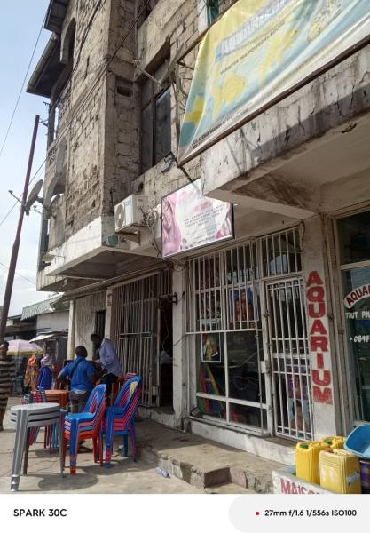 Vente dun immeuble sur Huilerie dans la commune de Kinshasa   Dimension 1312   Revenus mensuels actuels.2.000