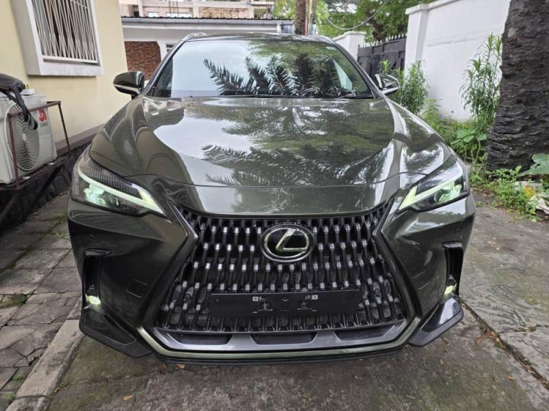 Lexus NX450H hybride Anne de fabrication 2024 full option panoramique sans plaque prix 32000  discuter lgrement