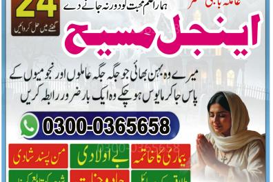 services_propositions_d_affaires Astrologer in Birmin  