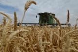 Accord sur les céréales: le retrait russe risque de peser sur la crise alimentaire
