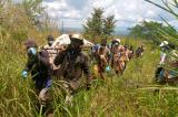 Beni : Nouvelle attaque sanglante des présumés rebelles ADF à Nzenga