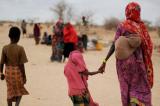 Changement climatique : une menace migratoire et économique pour l'Afrique