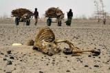 Le risque de famine s'aggrave encore dans la Corne de l'Afrique