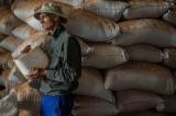 Afrique du Sud, un nouveau pas vers la réforme agraire
