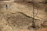 Inde : un quart de la population est touché par une grave sécheresse