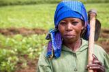 Kivu: le PAM et la FAO soutiennent les petits agriculteurs et les femmes pour appuyer la paix