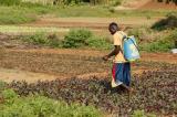 Burkina Faso : 18 personnes décédées suite à une intoxication alimentaire par des pesticides