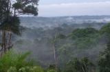 Fonds fiduciaire pour les aires protégées d’Afrique centrale : les tractations s’annoncent rassurantes
