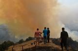 La majorité des feux de forêt en Algérie sont en voie d'extinction