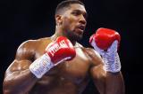 Boxe : Anthony Joshua prêt à affronter Martin Bakole à Kinshasa