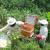 Infos congo - Actualités Congo - -Beni : l’apiculture, une alternative de résilience pour les agriculteurs