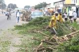 La ville de Kinshasa en passe de perdre ses espaces humides
