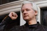 Insultes et caméras cachées : pourquoi Julian Assange n'était plus le bienvenu à l'ambassade d'Equateur