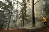 La pluie tombe enfin sur les violents incendies qui touchent l'Australie