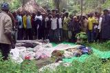 Nord-Kivu : 10 personnes ont été tuées dans une nouvelle incursion des ADF à Beni