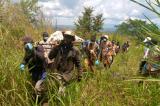 Massacre de Manyama-Beu à Beni : le bilan passe à 33 civils tués et une cinquantaine de disparus