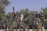 Pourquoi Boko Haram prospère dans la région du lac Tchad