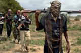 Le Nigeria libère 150 anciens membres de Boko Haram