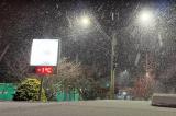 Vague de froid sous les tropiques : le Brésil grelotte avec des chutes de neige dans le sud du pays