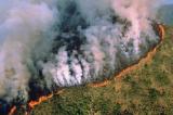 Brésil : les feux de forêt en Amazonie en hausse de 30% en 2019