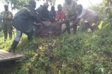 Nord-Kivu : des habitants de Kibumba (Nyiragongo) abattent deux buffles 