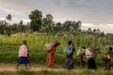 République Démocratique du Congo: un regain de violence
