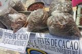 Les produits agricoles congolais en hausse à l’international