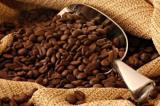 Moins de 120.000 tonnes de café exportées en 2023