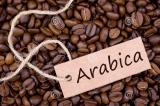 USA/RDC: acheter l'arabica du Sud-Kivu pour relancer la production