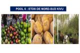 EIES des sites devant abriter les CPEJAB et des CCDMI - Pool 5 : ETDS de Nord-Sud Kivu