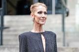 Céline Dion oubliée, Burna Boy inclus, pourquoi le classement Rolling Stone des meilleurs chanteurs de tous les temps est très contesté ?