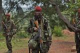 Centrafrique : au moins 17 personnes capturées par la rébellion ougandaise