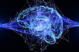 Une zone du cerveau est inactive chez les 