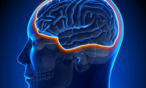 Infos congo - Actualités Congo - -Le coronavirus entraine l'apparition de vaisseaux fantômes dans le cerveau