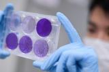 USA: Johnson & Johnson a déjà lancé la production d'un vaccin contre le Covid-19 sans tests préalables ni agrément
